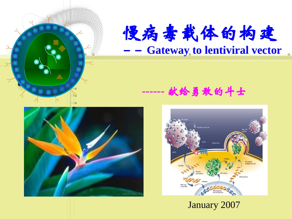 慢病毒载体的构建方法_第1页