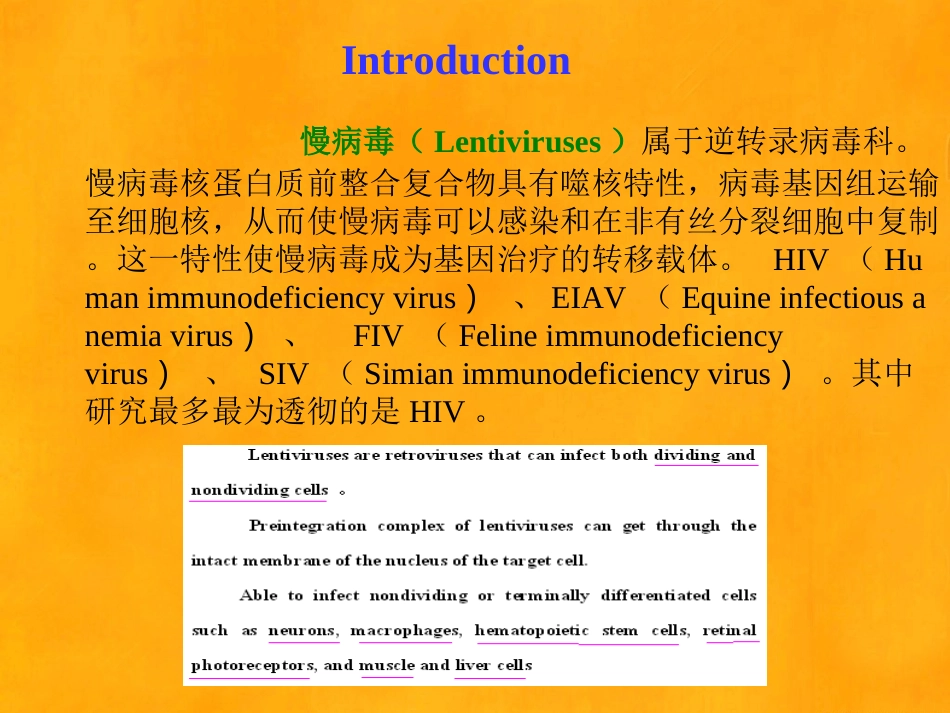 慢病毒载体的构建方法_第2页