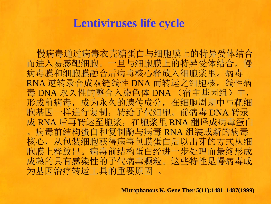 慢病毒载体的构建方法_第3页