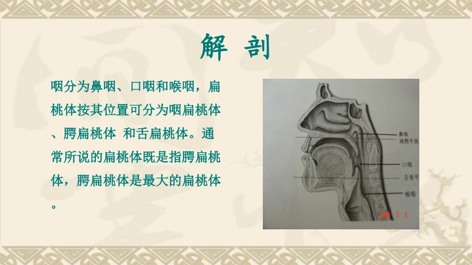 慢性扁桃体炎_第2页