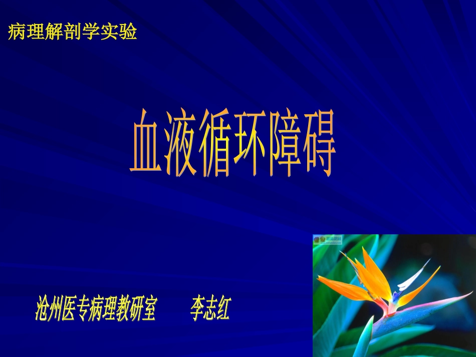 慢性肝肺淤血肺出血性梗死课件_第1页
