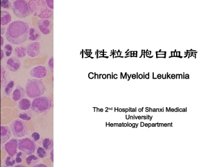 慢性粒细胞白血病双语