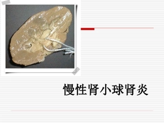 慢性肾小球肾炎病人的护理