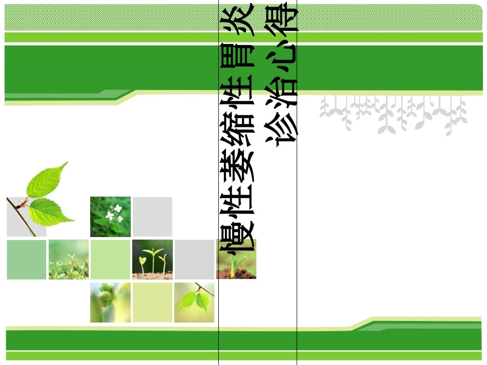 慢性萎缩性胃炎诊治心得资料_第1页