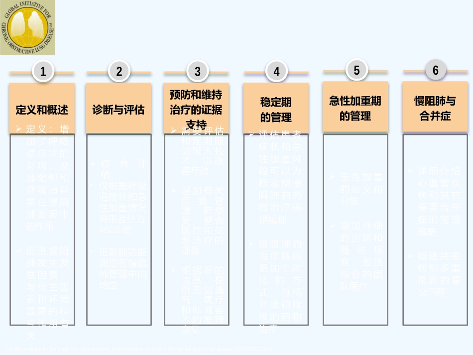 慢性阻塞性肺疾病全球倡议GOLD_第2页