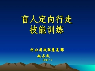 盲人定向行走
