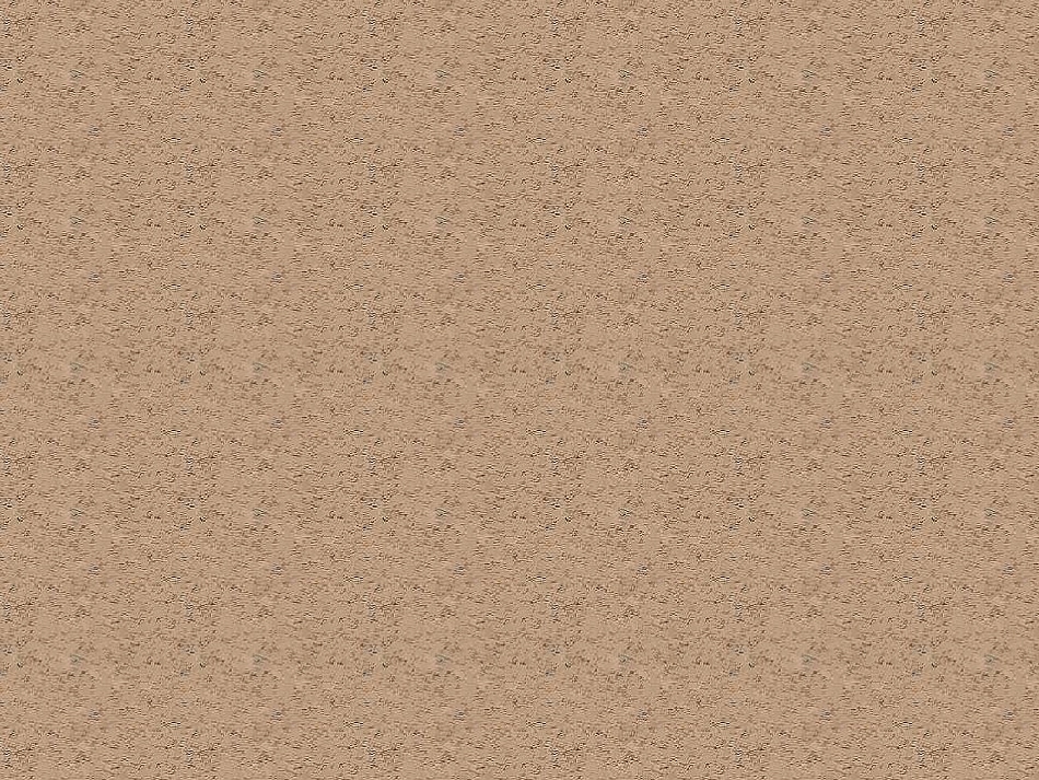 没有耳朵的兔子_第1页