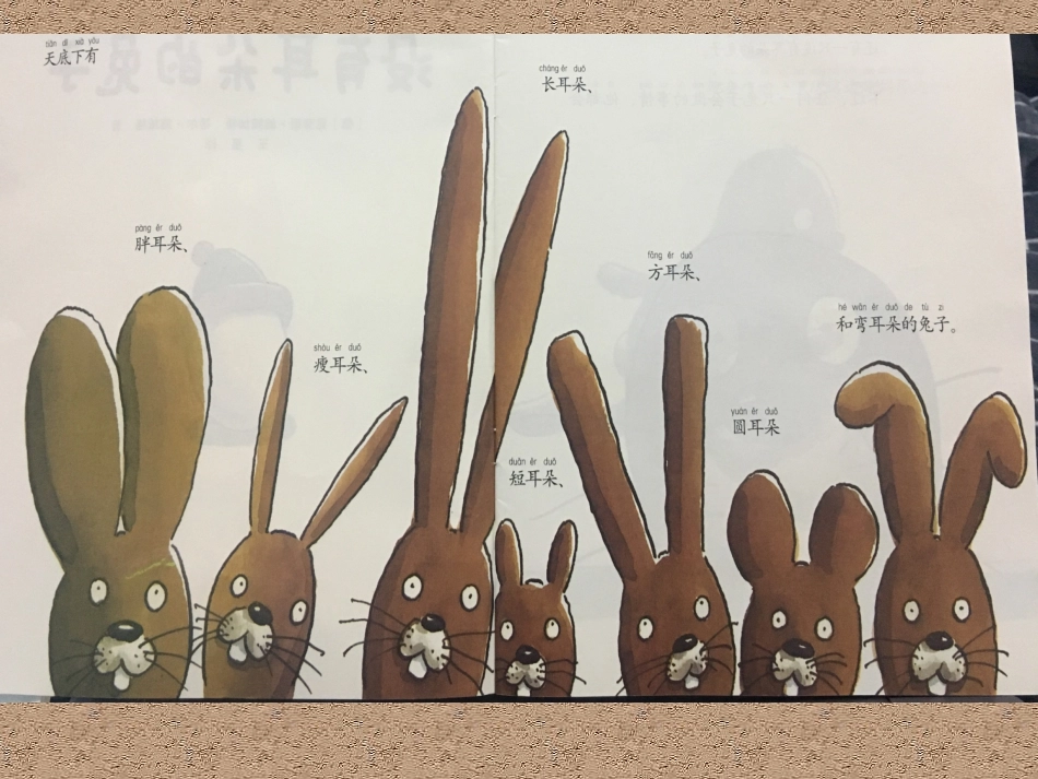 没有耳朵的兔子_第2页