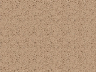 没有耳朵的兔子