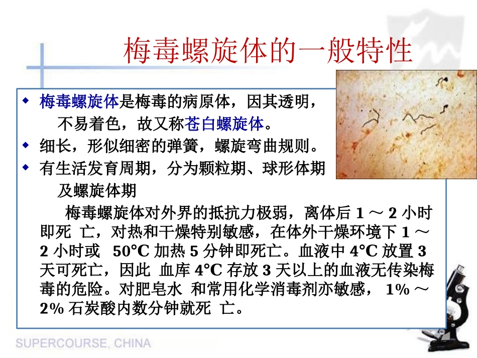 梅毒的实验室诊疗_第2页