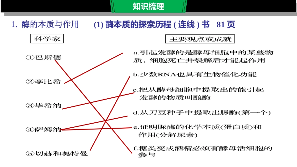 酶的本质作用及特性_第2页