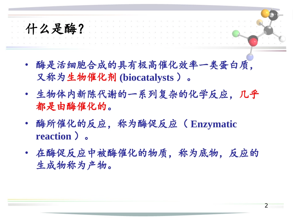 酶的分子结构与功能_第2页