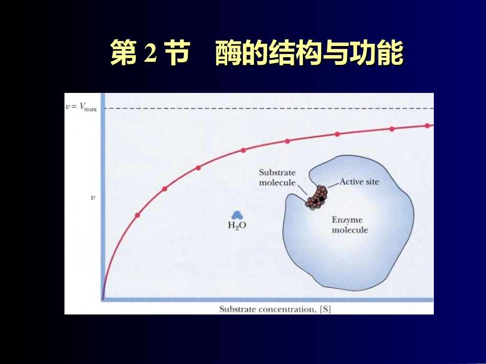 酶的结构与功能_第1页