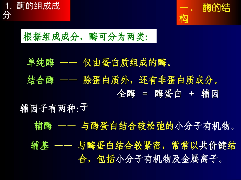 酶的结构与功能_第2页