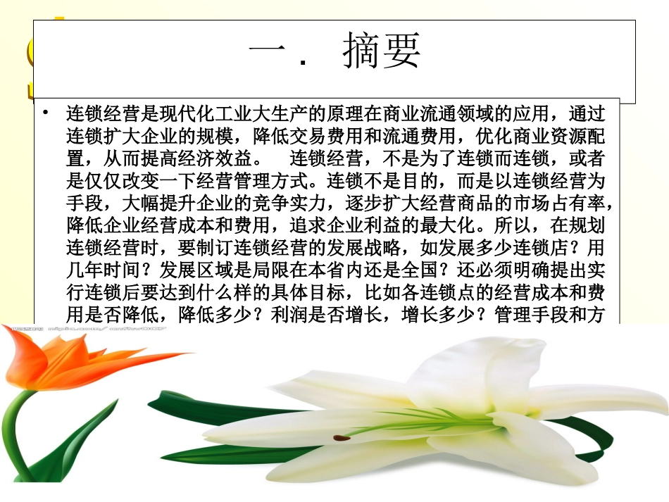 美容连锁公司商业计划书_第3页