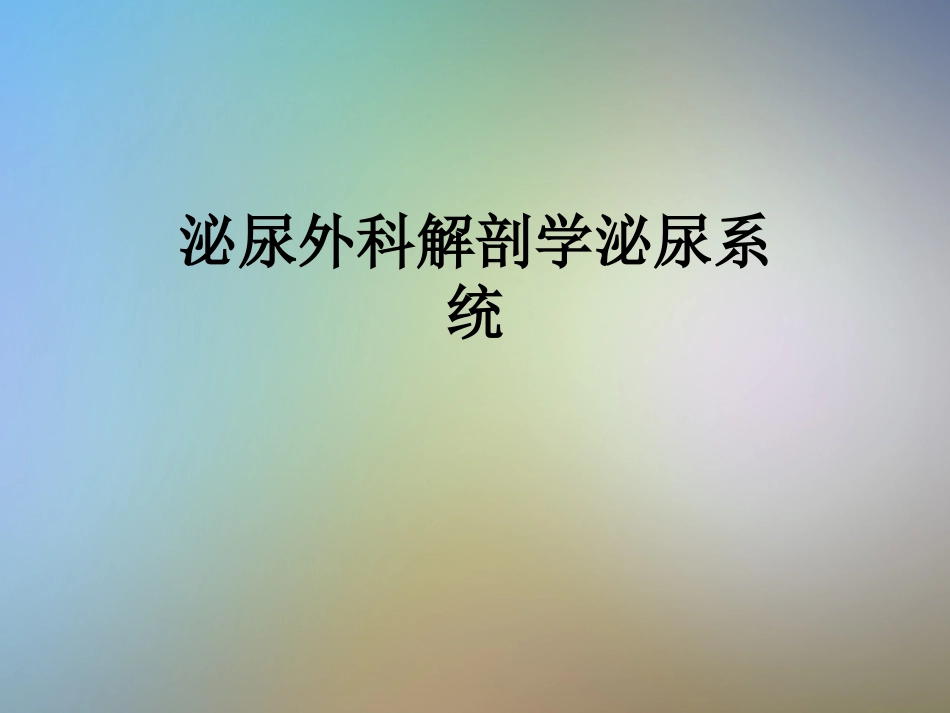 泌尿外科解剖学泌尿系统_第1页