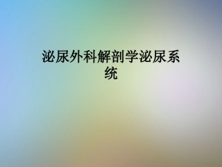 泌尿外科解剖学泌尿系统