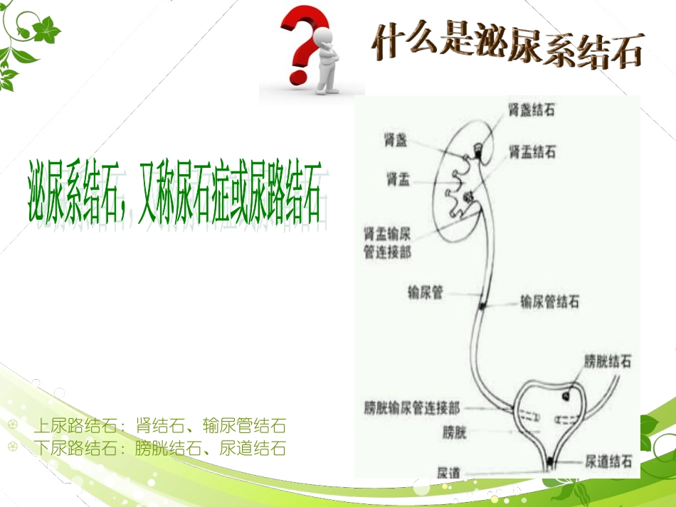 泌尿系结石健康教育_第2页