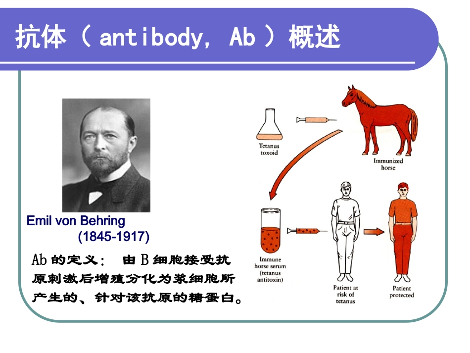 免疫球蛋白课件_第3页