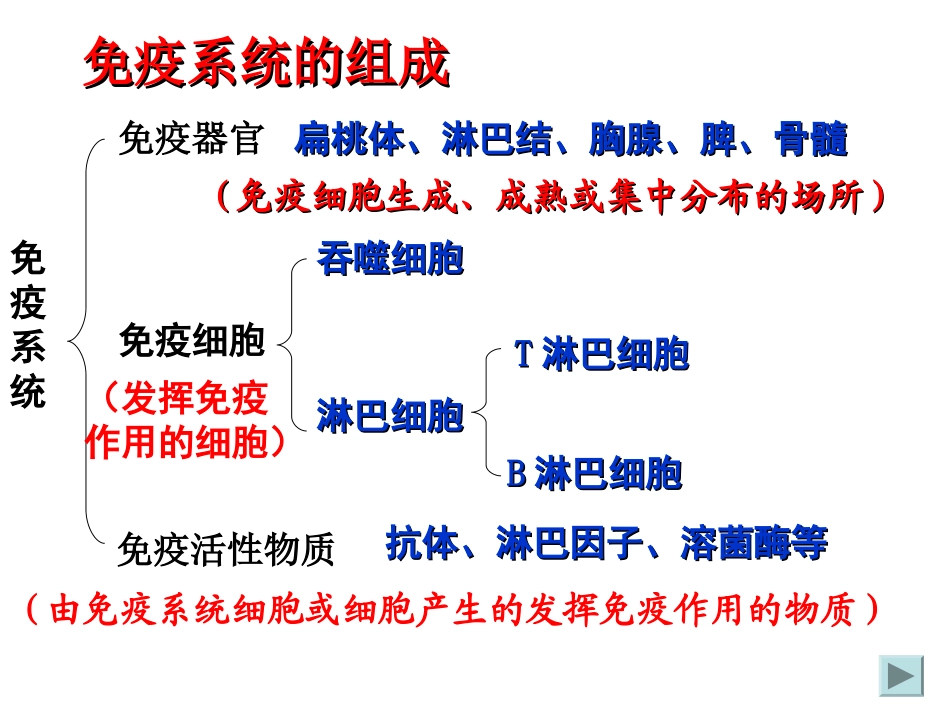 免疫系统与免疫功能_第2页