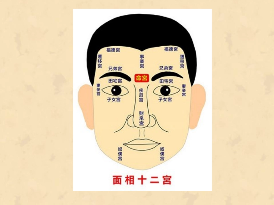 面相学之鼻相资料_第2页