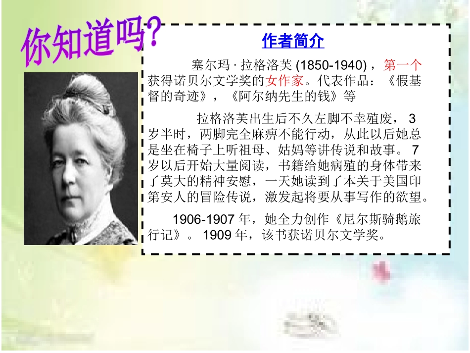 名著解读尼尔斯骑鹅历险记_第2页