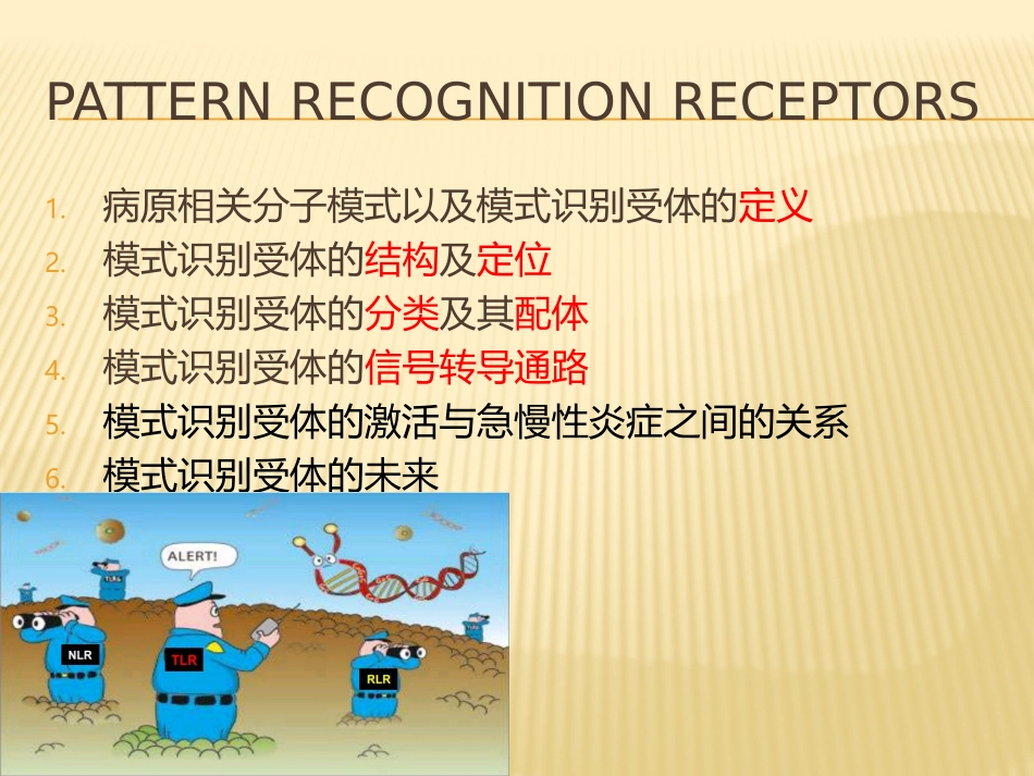 模式识别受体_第3页