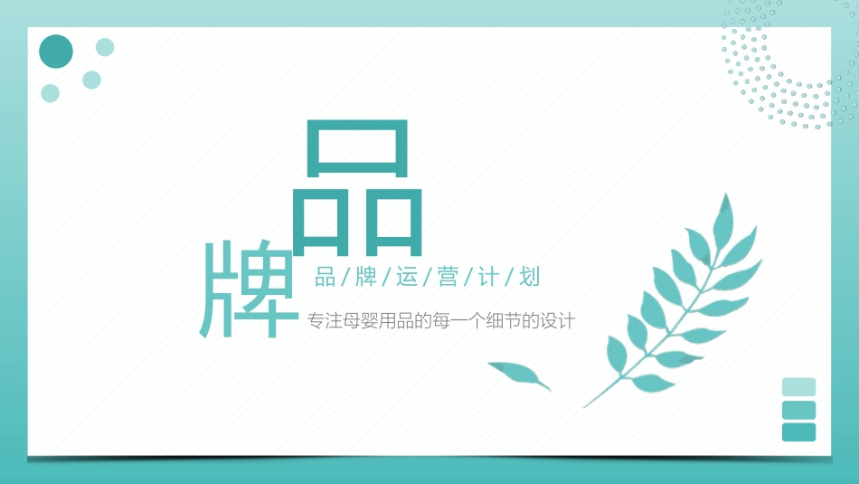 母婴用品孕妇用品类目品牌天猫入驻运营计划参考_第1页