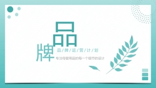 母婴用品孕妇用品类目品牌天猫入驻运营计划参考