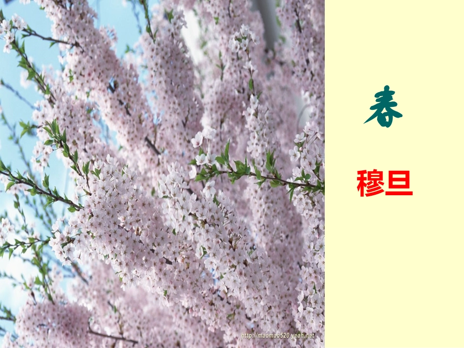 穆旦春专题培训课件_第3页