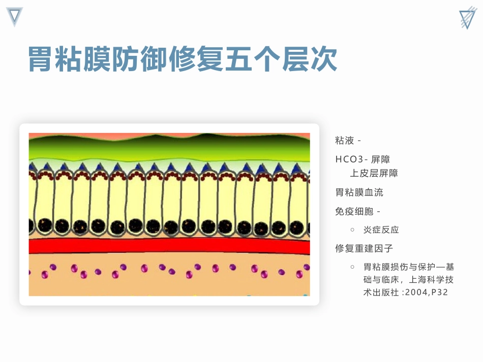 难治性消化性溃疡_第3页