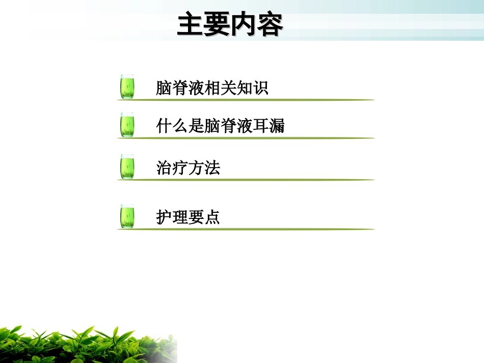 脑脊液耳漏的护理课件_第2页