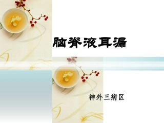 脑脊液耳漏的护理课件