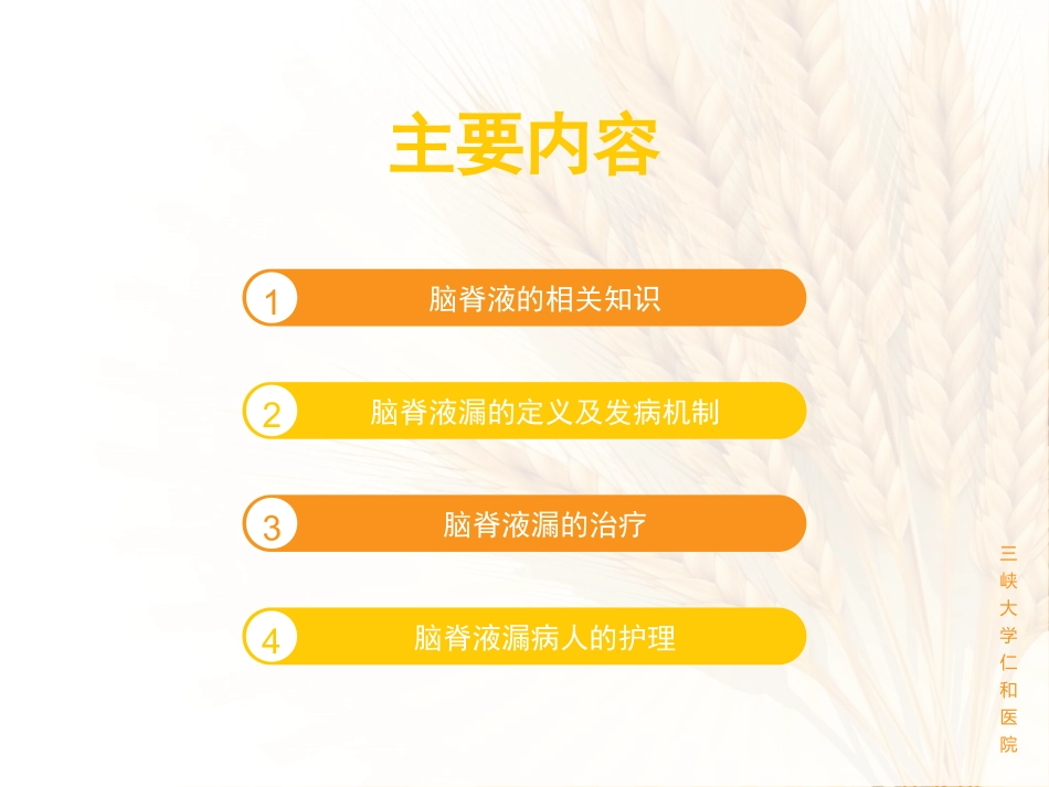 脑脊液漏的护理医学课件_第2页