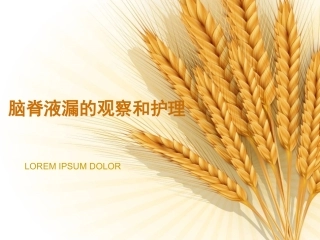 脑脊液漏的护理医学课件