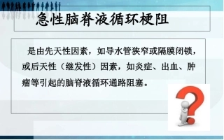 脑室系统及脑脊液循环课件