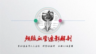 脑血管造影解剖