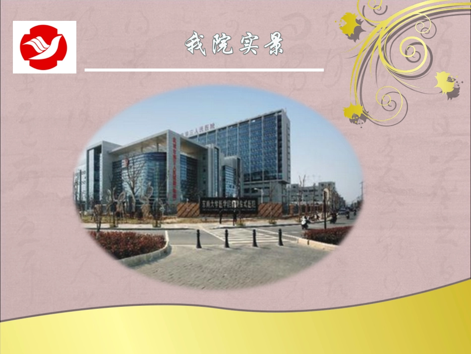 内分泌科简介课件_第3页