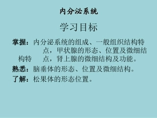 内分泌系统的解剖