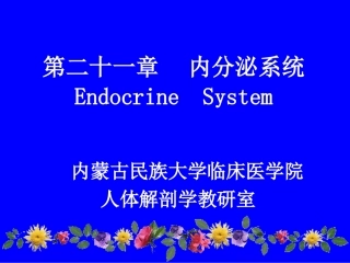 内分泌系统讲义