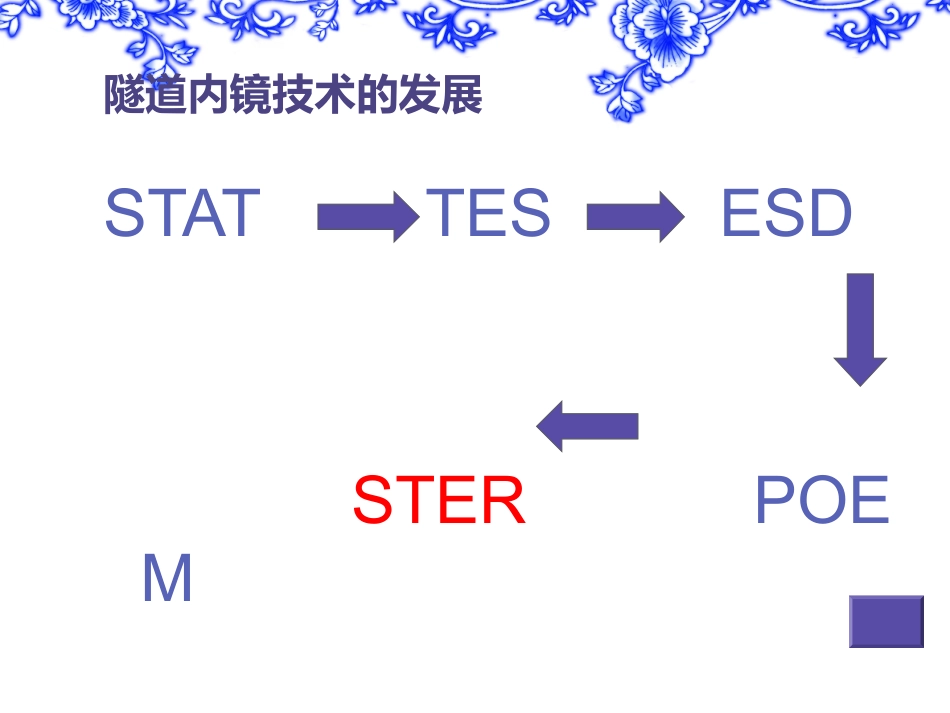 内镜经黏膜下隧道肿瘤切除术_第2页
