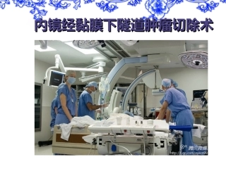 内镜经黏膜下隧道肿瘤切除术