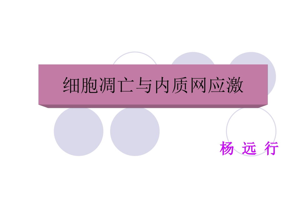 内质网应激和细胞凋亡_第1页
