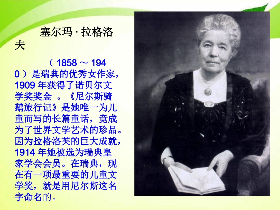 尼尔斯骑鹅旅行记讲义_第3页