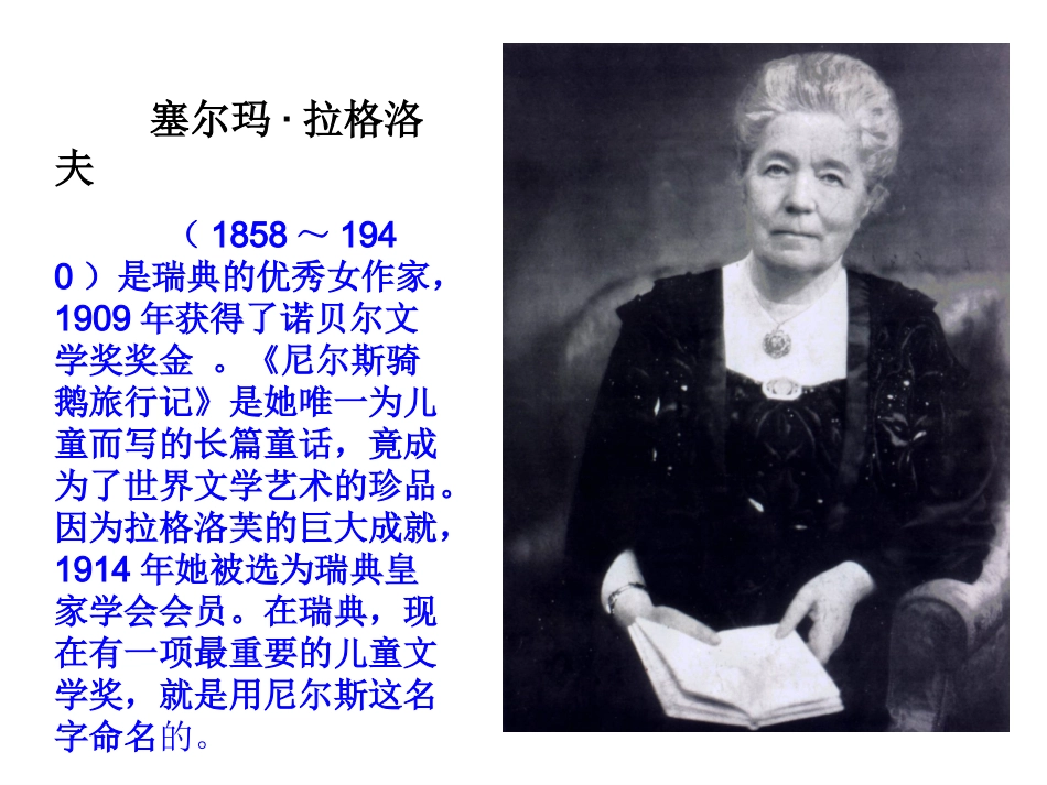 尼尔斯骑鹅旅行记课件_第3页