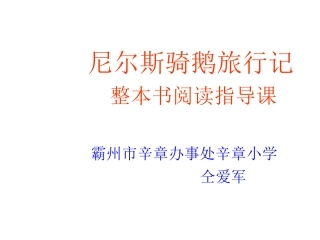 尼尔斯骑鹅旅行记课件