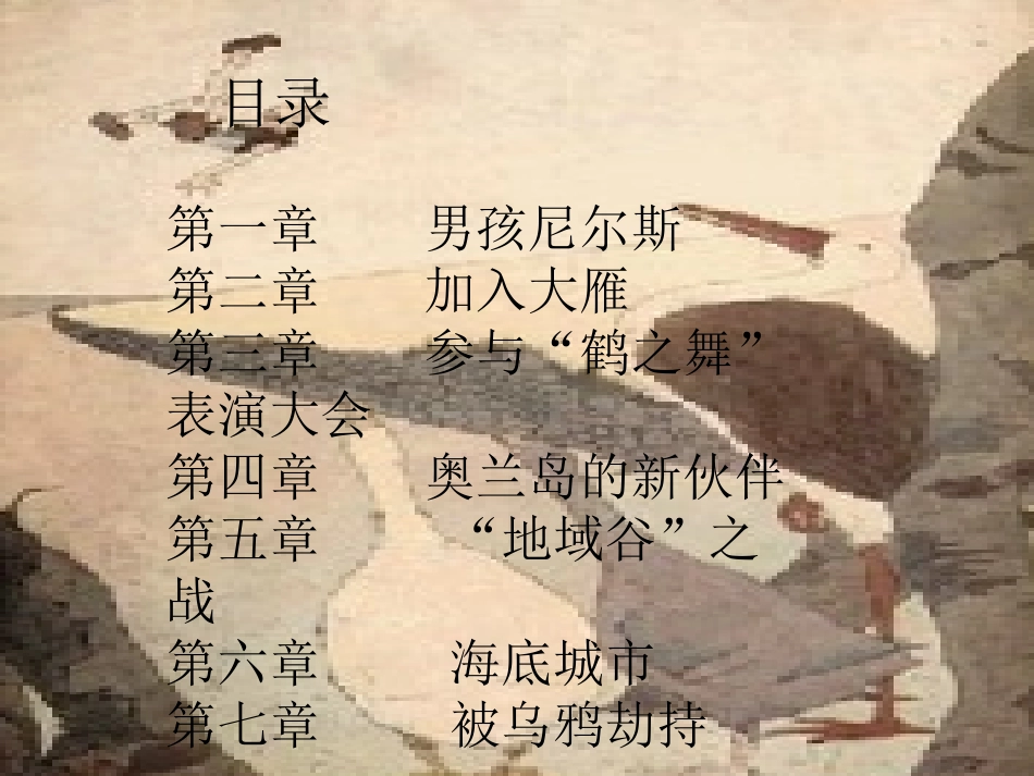 尼尔斯骑鹅旅行记课堂_第3页