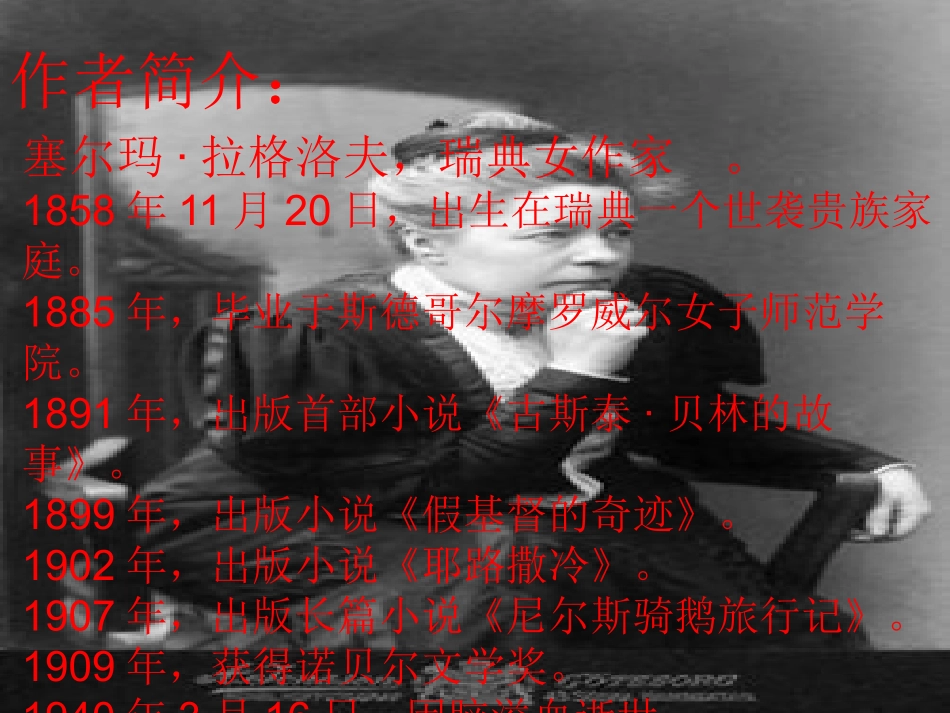 尼尔斯骑鹅旅行记聊书_第2页