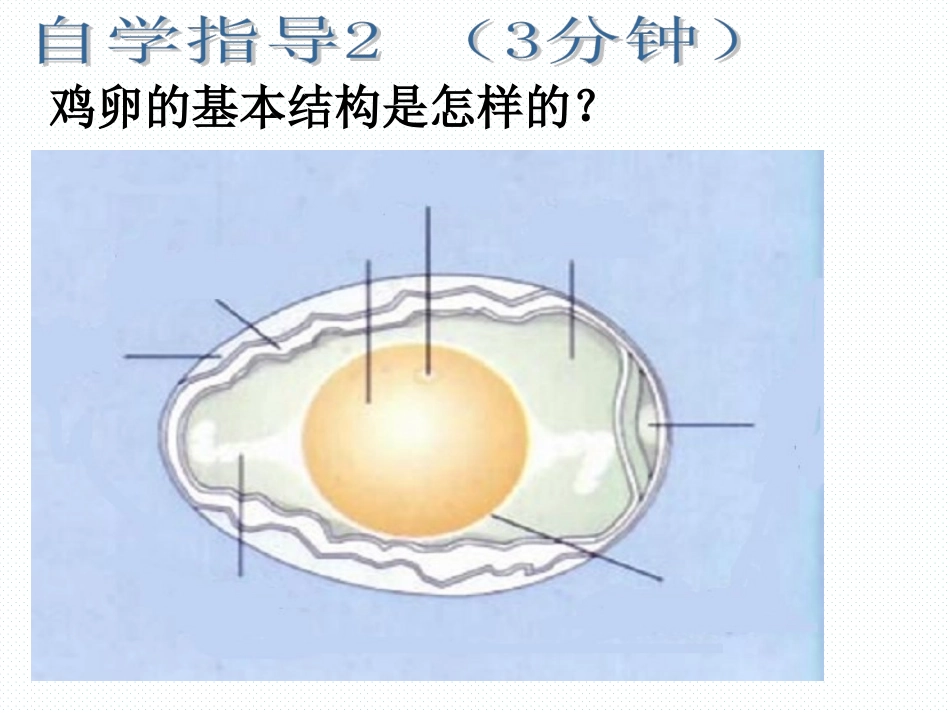 鸟的生殖和发育_第3页