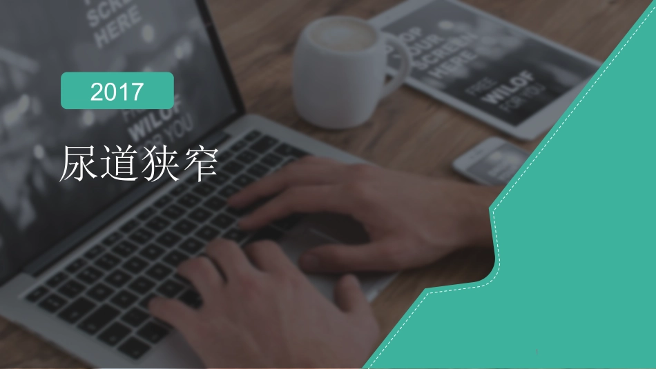 尿道狭窄课件_第1页